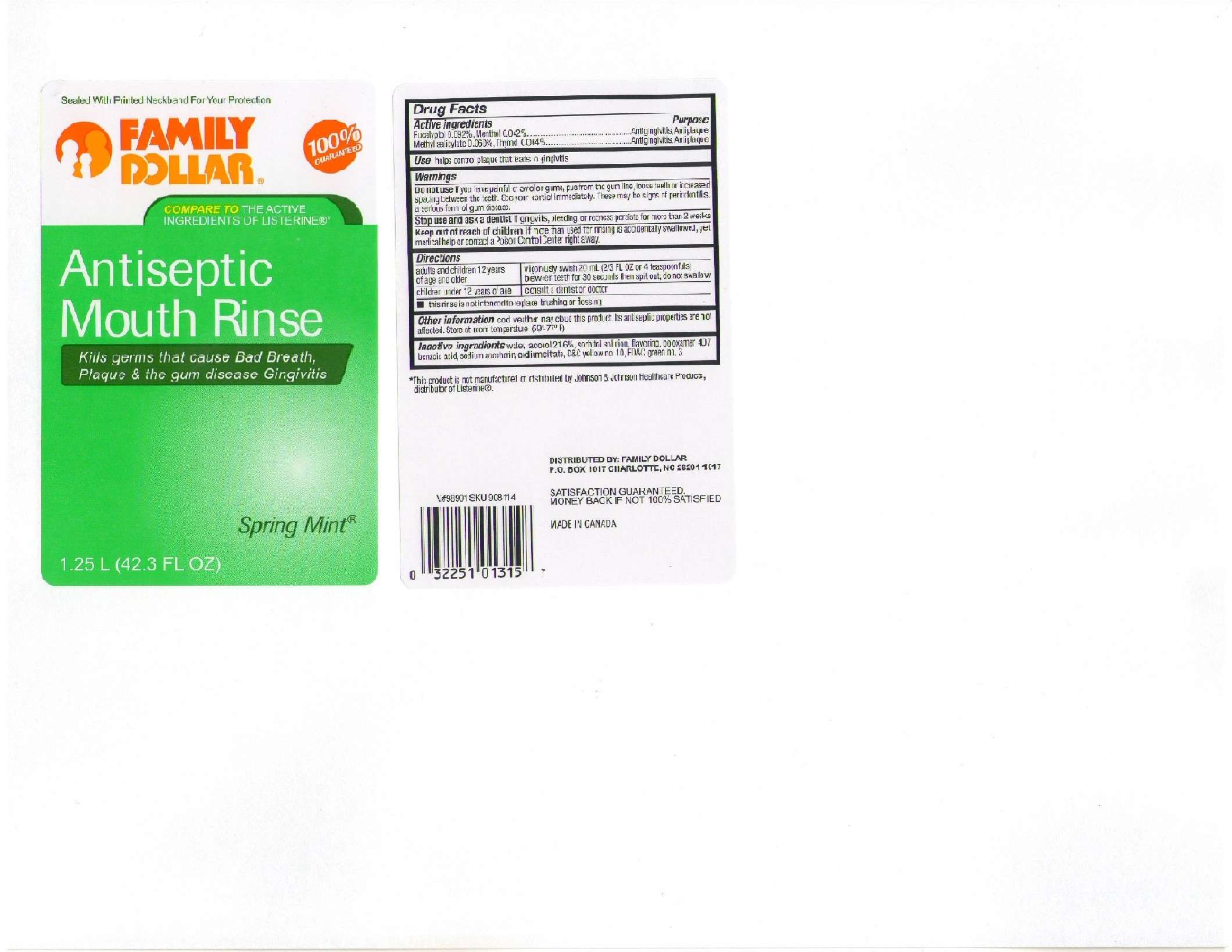 Family Dollar Antiseptic Mouth Rinse Spring Mint